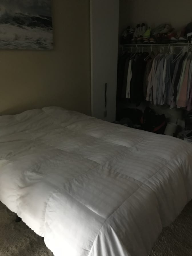 Photo of Ashish's room
