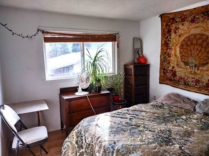 Photo of sheila's room