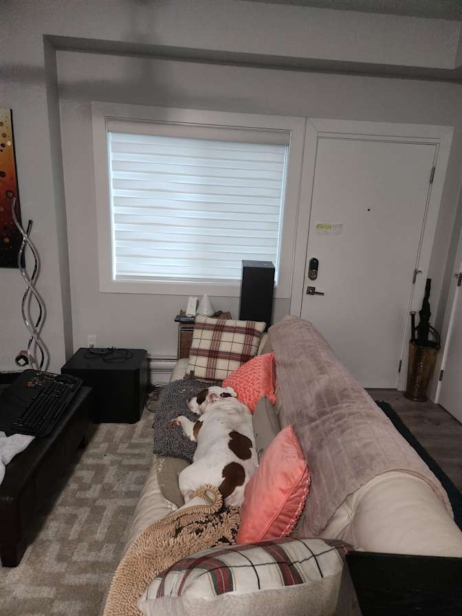 Andrew Warriner's room