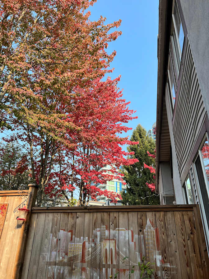 Photo of Shyloh's room