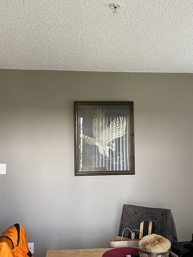 Photo of Laura Lee's room