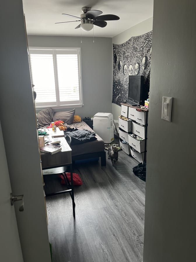 Photo of Layla's room