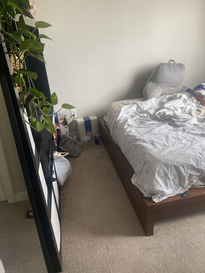 Photo of Alyvia's room