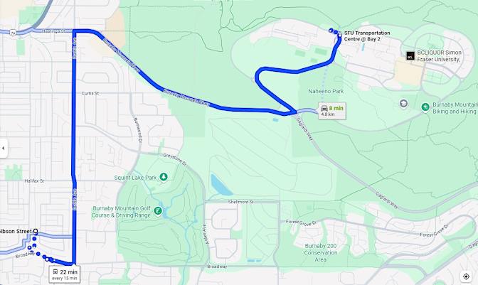 Doina Dragomir's room