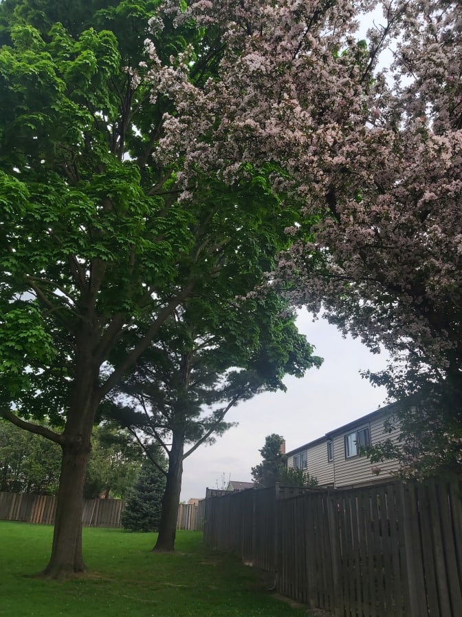 Photo of Ester's room