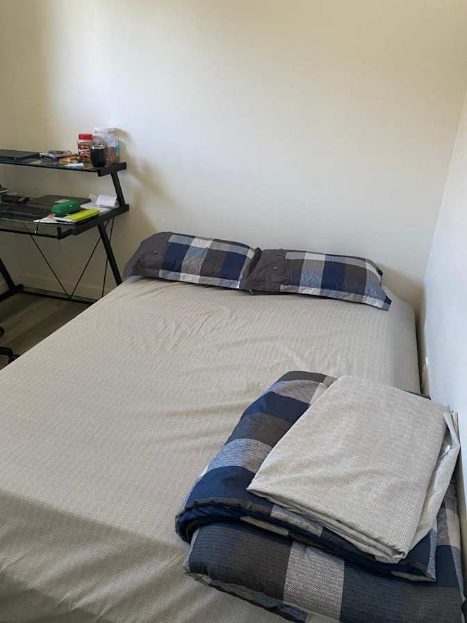 Paviter Paviter's room