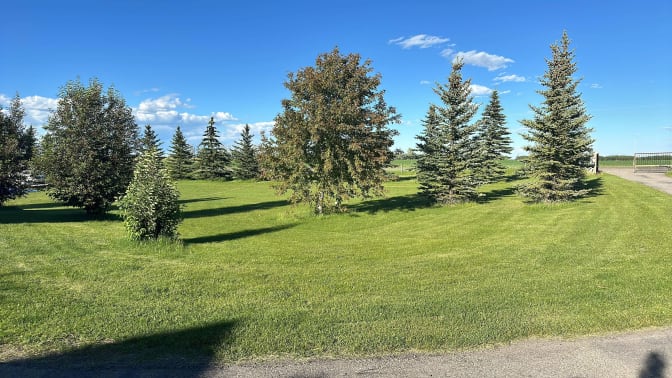 Sarah McMillen's room