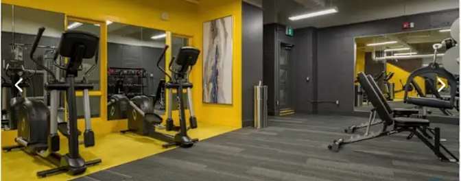 Angelica Rockford's room