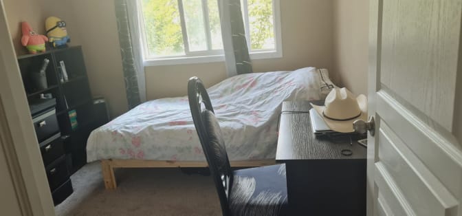 Ali Zowghinia's room