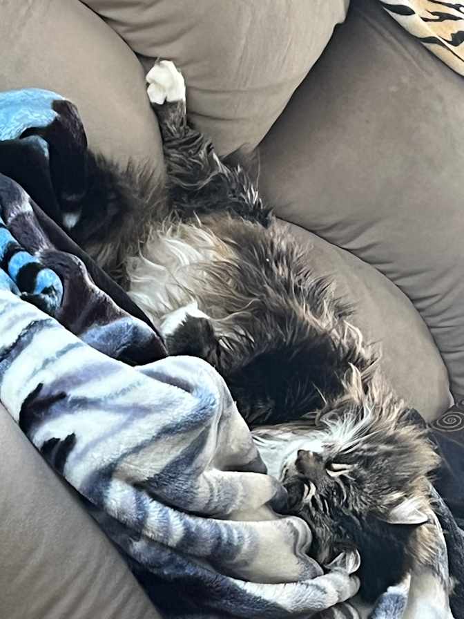 Photo of Kerry's room