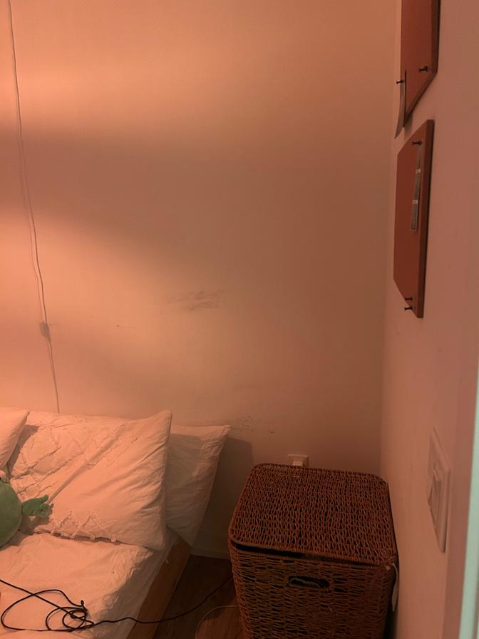 Lindsay Killorn's room