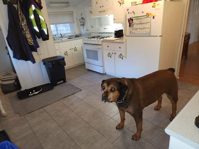 Samantha wilkins's room