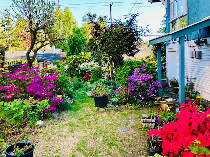 Photo of Annie Dalayon's room