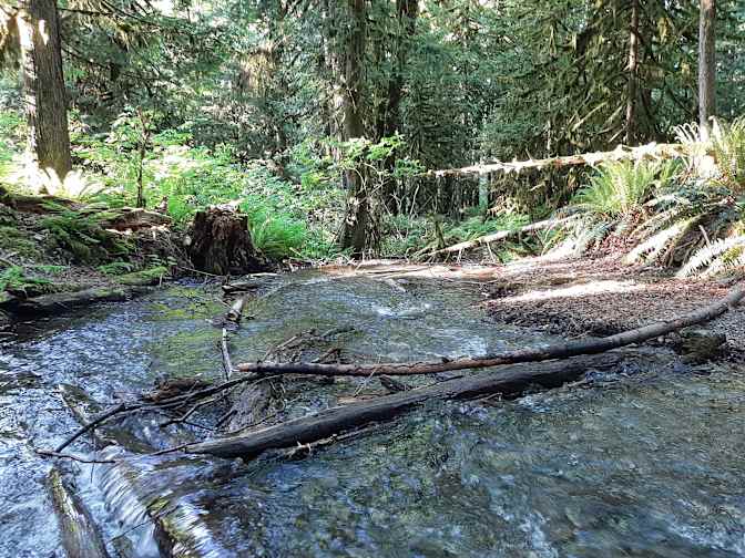 Photo of Marvin's room