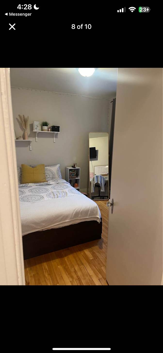 Yasmine El-Diwany's room