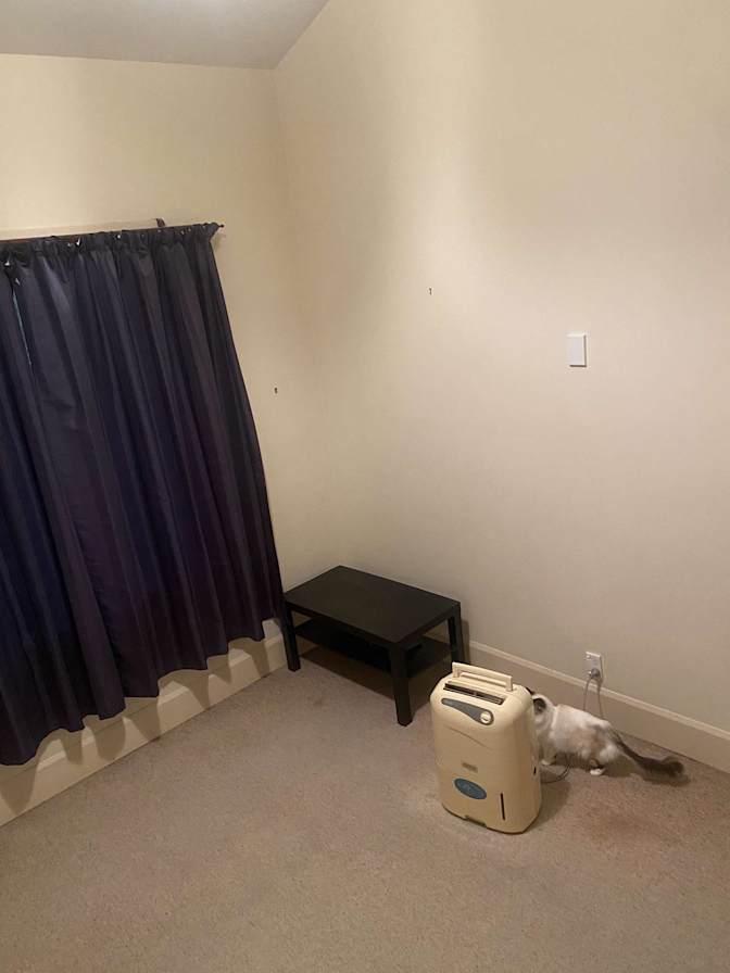 Photo of Aisha's room