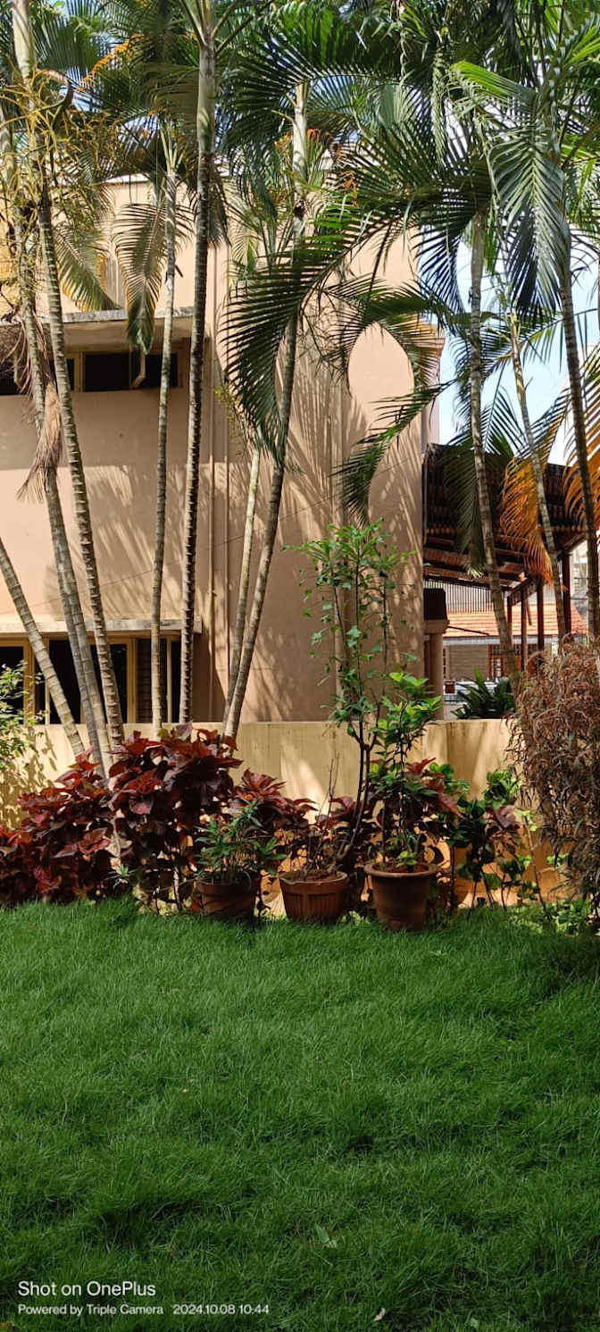 Photo of Pooja Tripathi's room