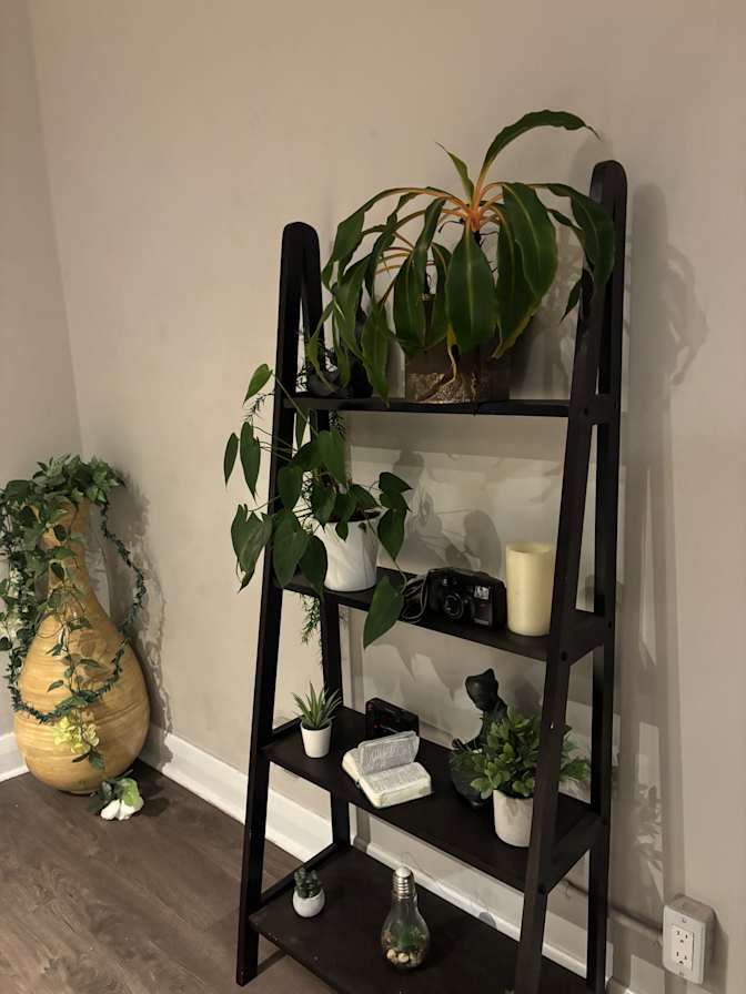 Photo of Jonathan Okonmah's room