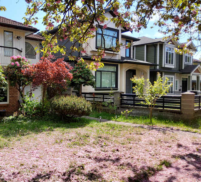 Photo of Danielle's room