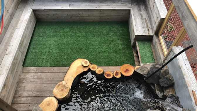 Pierre vivarais's room