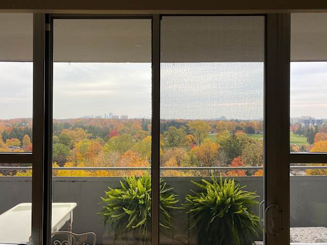 Photo of Cher's room