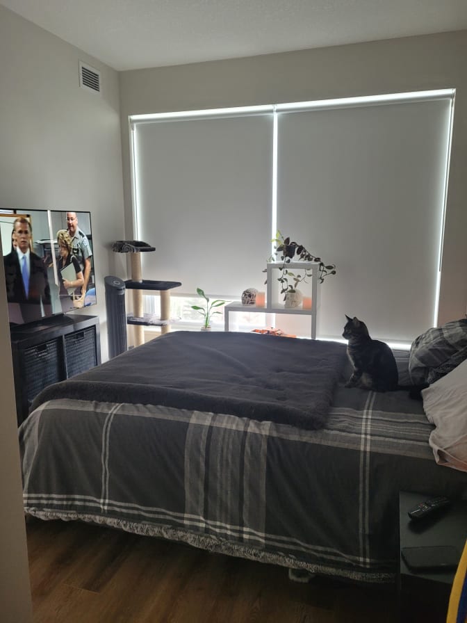 Photo of Tori's room
