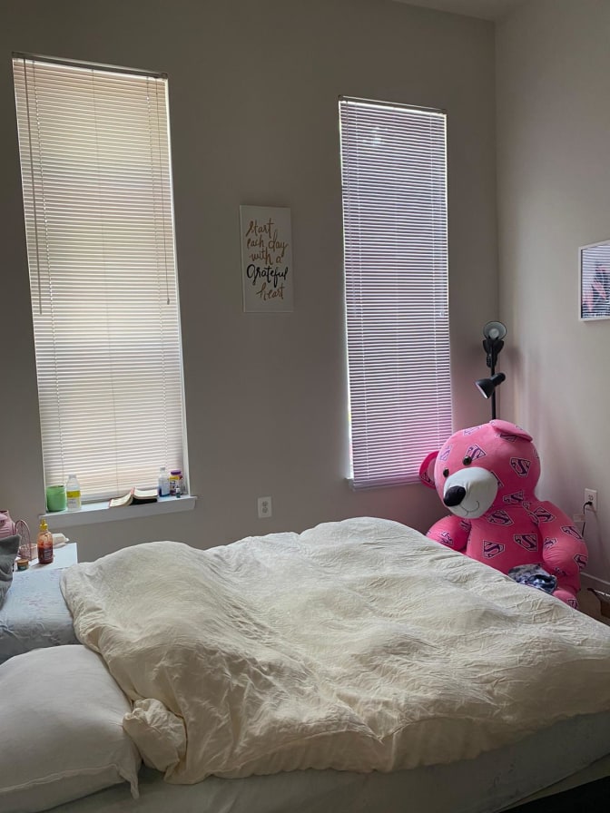 Photo of Terra's room