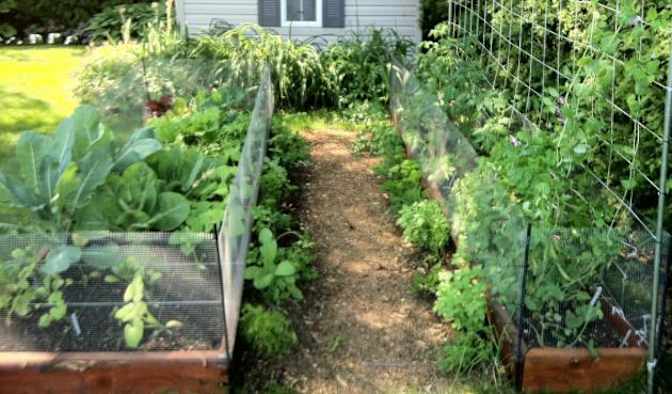 Photo of Lisa's room