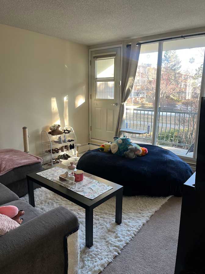 Photo of Aimee's room