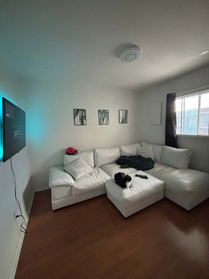 Cassidy Wadey's room