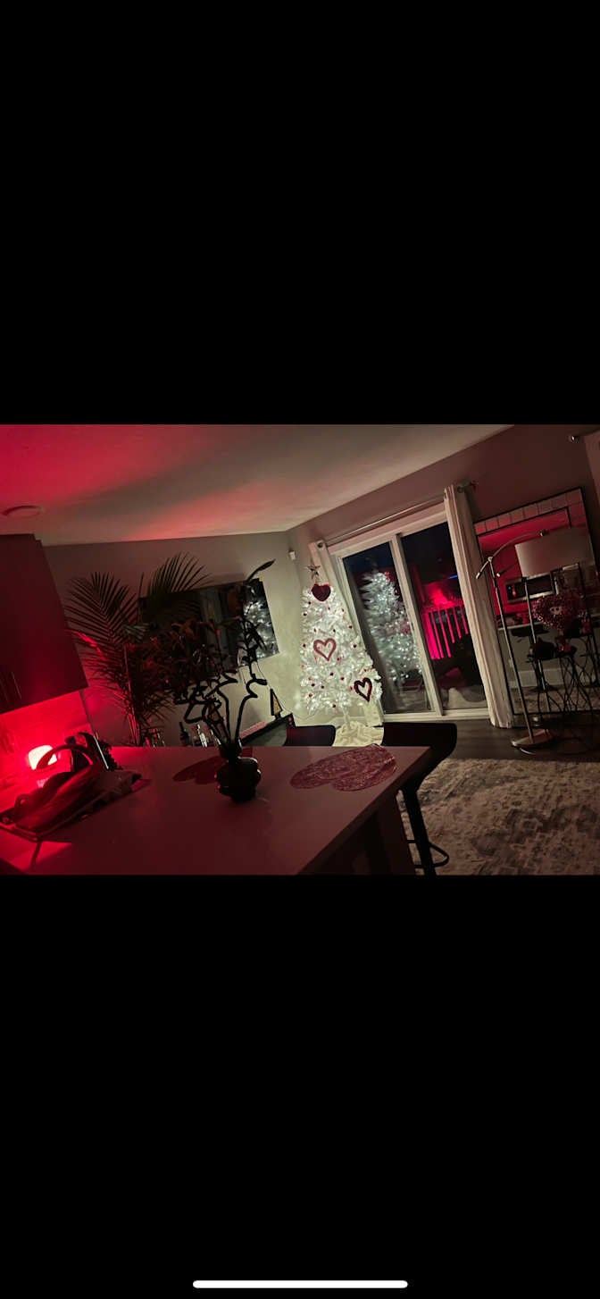 Photo of Dorsa's room