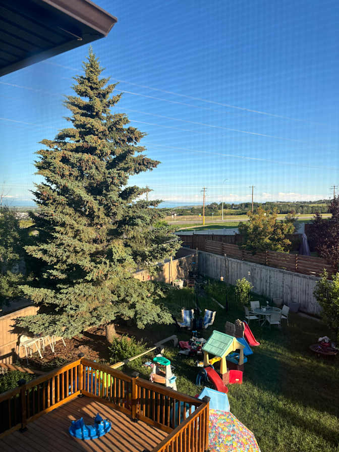 Photo of Marizza's room