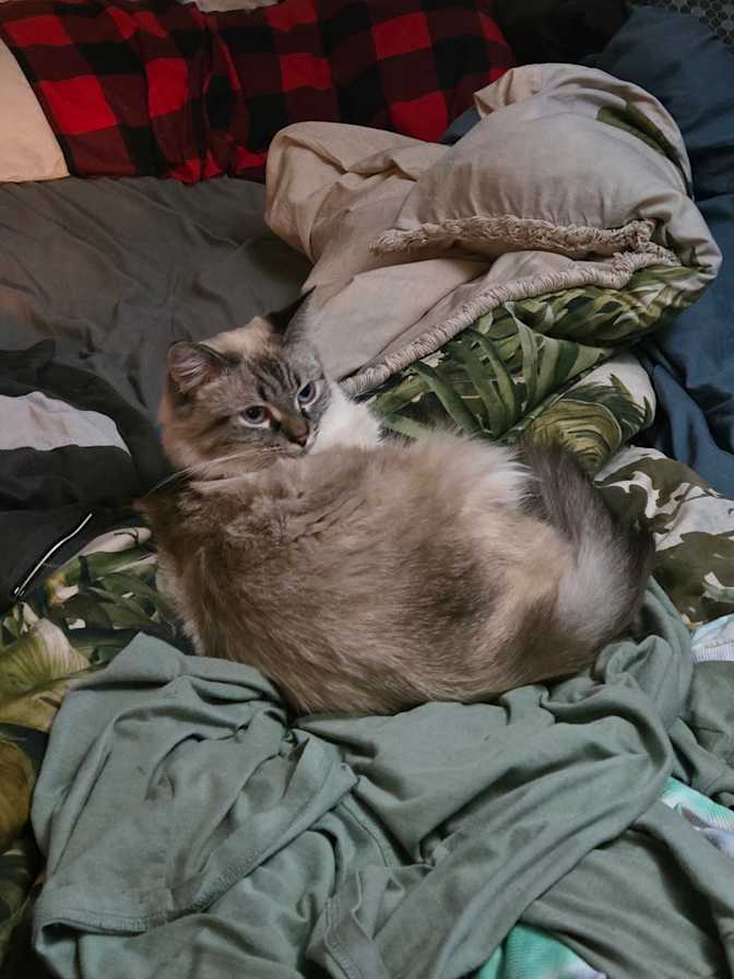 Photo of Cate's room