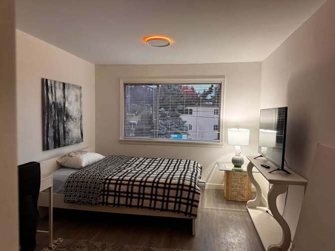 Hila Adilipour's room