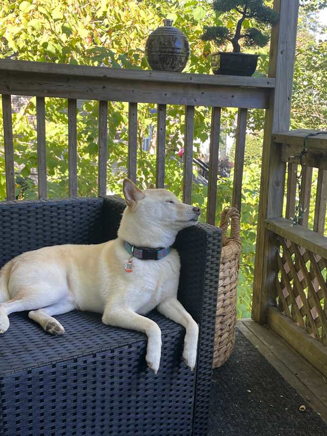 Photo of Taylor Snow's room