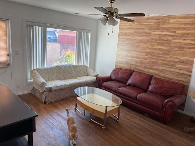 Photo of Michele's room
