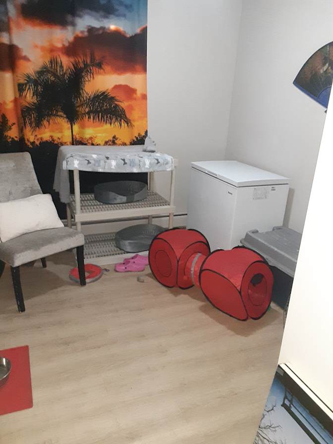 Photo of Shawn lefort's room