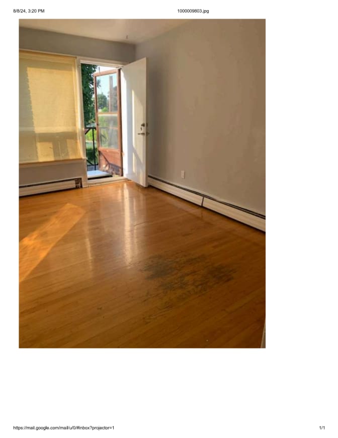 Tess LLarinas's room