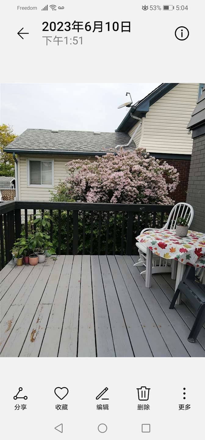 Photo of Alice.'s room