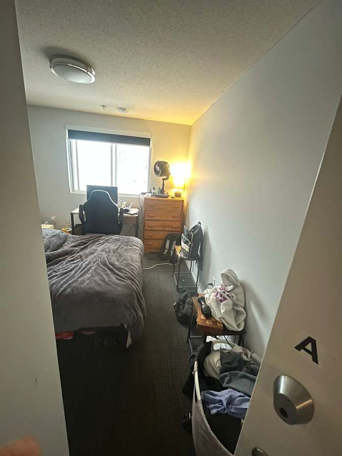 Danish Jaffri's room