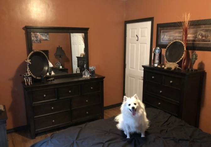 Photo of Brian's room