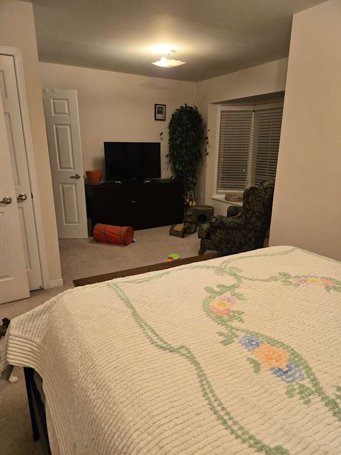 Photo of Sandra's room