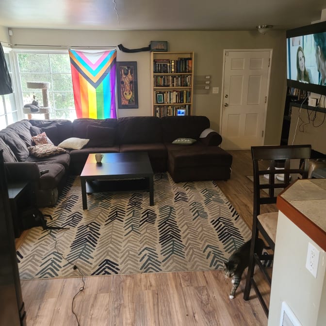 Photo of Josh's room