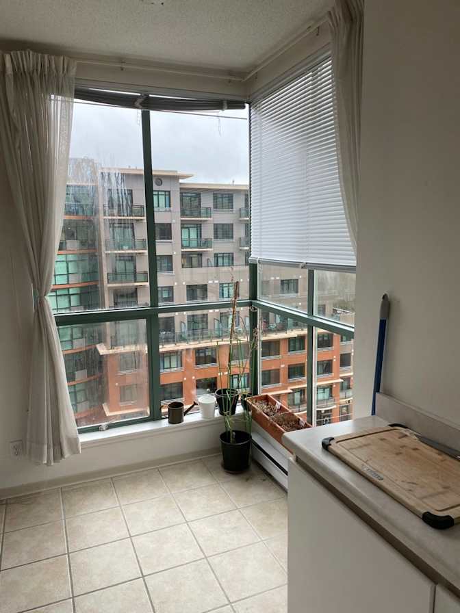 Luke Pomerance's room