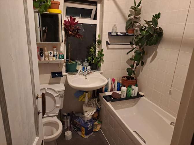 Photo of LEVAN's room