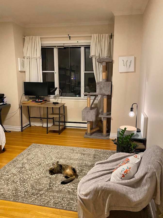 Photo of Kimber's room