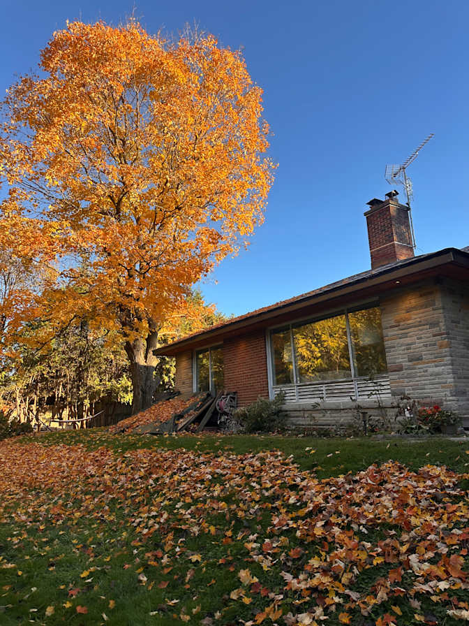 Photo of Salma's room