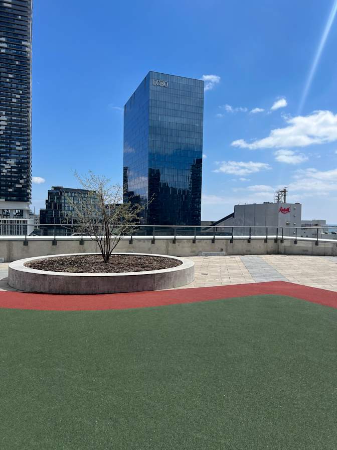 Abbshay simfukwe's room