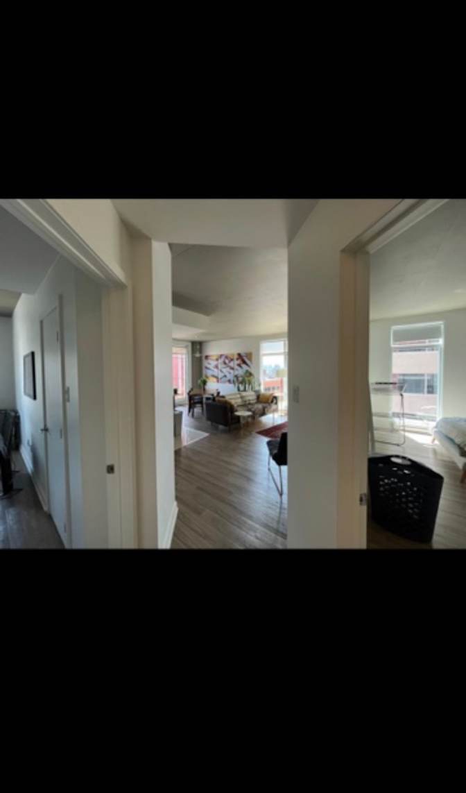 Photo of mehdi's room