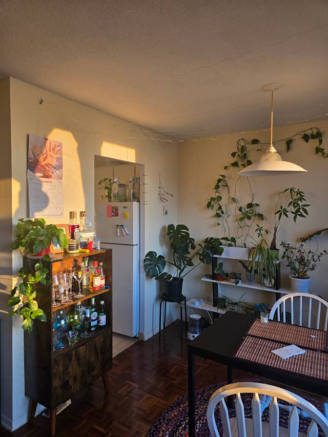 Photo of Mahima Singh's room